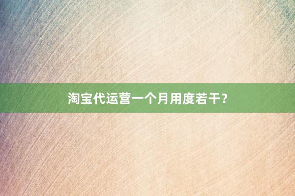 淘宝代运营一个月用度若干？